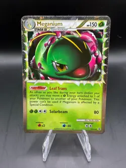 TCG POKEMON MEGANIUM HOLO HGSS08 BLACK STAR PROMO - Image 1