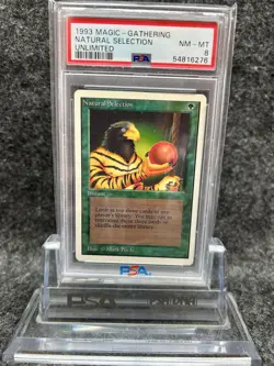 Unlimited Natural Selection PSA 8 Graded Magic MTG - Image 1