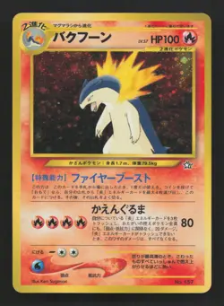 Japanese Typhlosion No. 157 Neo Premium File Holo Foil LP - Image 1