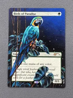 Birds of Paradise MTG Secret Lair Drop Hand Painted Borderless Altered Art oj - Image 1