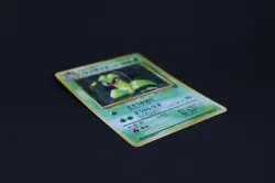 Vintage Japanese Victreebel Pokemon Card Old Back - Light Played - Image 5