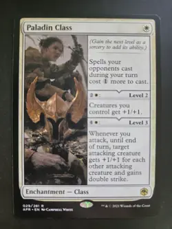 Paladin Class NM Adventures in the Forgotten Realms MTG FREE SHIPPING - Image 1