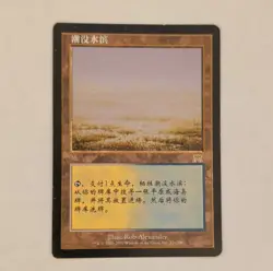 Flooded Strand Magic Land Card Chinese 2002 Rob Alexander MTG 316/350 - Image 1