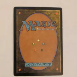 Flooded Strand Magic Land Card Chinese 2002 Rob Alexander MTG 316/350 - Image 2