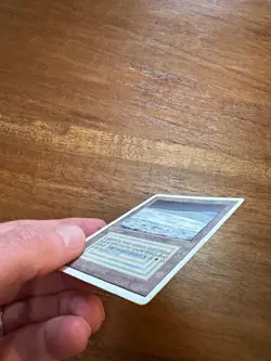 Tundra - MP/LP - Magic the Gathering Unlimited Edition 1993 UL - Image 4