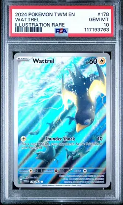 PSA 10 2024 Pokemon Wattrel SV Twilight Masquerade TWM EN #178 Illustration Rare - Image 1