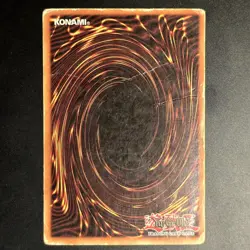 Panther Warrior - CT2-EN006 - Secret Rare - Limited Edition - HP - Yu-Gi-OH! - Image 2