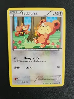 Teddiursa - RC15/RC25 - Legendary Treasures Radiant Collection Pokemon Card - NM - Image 1