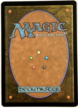 MTG Archmage of Echoes Commander: Wilds of Eldraine 0009 NM - Image 2