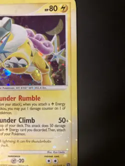 Raikou HOLO BLEED 16/132 - 2007 Pokemon Diamond & Pearl - Secret Wonders LP - Image 4