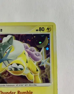 Raikou HOLO BLEED 16/132 - 2007 Pokemon Diamond & Pearl - Secret Wonders LP - Image 4