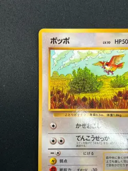 [NM] Pidgey Pokemon Card Japanese No.016 Vending Series Vintage Glossy 24N8 - Image 4