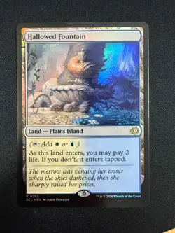 Hallowed Fountain (FOIL) - Lorwyn Eclipsed (MTG) NM - Image 1