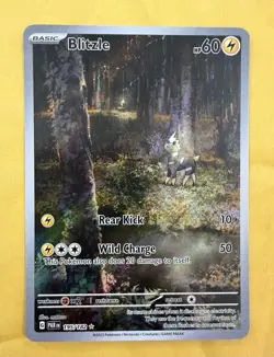 Pokemon TCG Blitzle Paradox Rift 195/182 Holo Illustration Rare English NM - Image 1