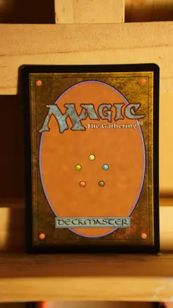 Windswept Heath - Retro Border - Foil - NM - Modern Horizons 3 - MTG - Image 2