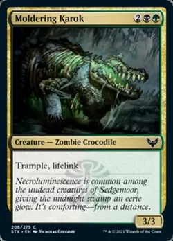 MTG Strixhaven C Moldering Karok #206 PLAYSET 4x x4 - Image 1