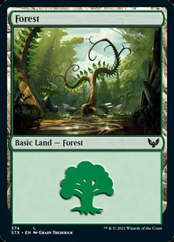 MTG Strixhaven L Forest #374 PLAYSET 4x x4 - Image 1