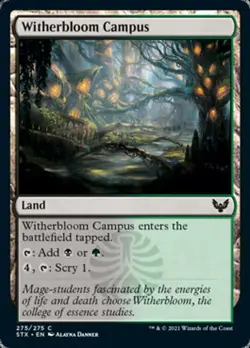 MTG Strixhaven C Witherbloom Campus #061 PLAYSET 4x x4 - Image 1