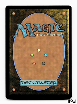 Champion of the Path (FOIL) - [Lorwyn Eclipsed] Magic MTG ECL 0130 NM 🔥 - Image 2