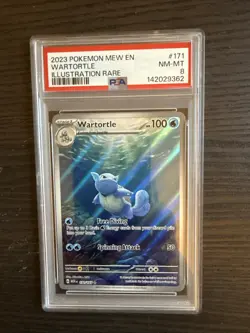 Wartortle 171/165 Illustration Rare 2023 Pokemon 151 PSA 8 Near Mint - Image 1
