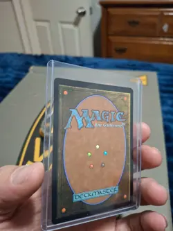 Ocelot Pride promo store champion card. MTG. Mint condition 2026 - Image 3