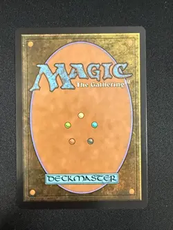 Selfless Safewright (EXTENDED) - Lorwyn Eclipsed (MTG) NM - Image 2