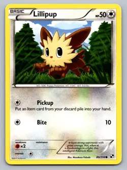 Pokemon TCG Black and White Lillipup (80) 80/114 - Image 1