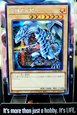 Blue-Eyes White Dragon Yugioh QCAC-JP021 Secret Rare OCG JAPAN - Image 1
