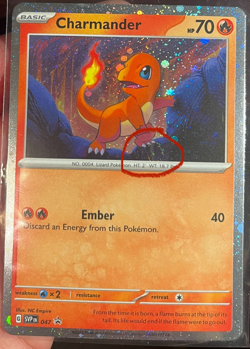 Charmander 047 W/ Swirl - 151 Poster Collection Promo - Pokemon TCG - NM - Image 1