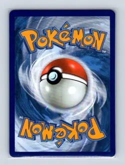 Pikachu V-Union SWSH139 140 141 142 Pokemon Black Star Promo Card Set NM+ - Image 5