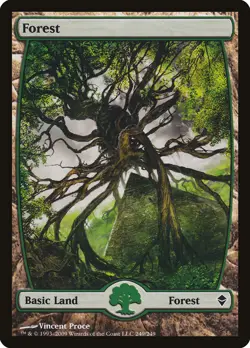 MTG Forest (249) Full Art ** Zendikar ** English (NM) - Image 1