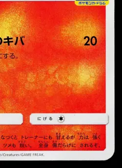 TORRACAT 313/SM-P SUN & MOON PROMOS JAPANESE POKEMON TCG - Image 5