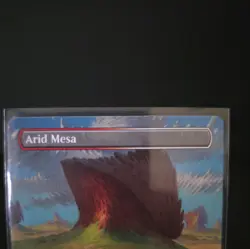 Magic The Gathering Arid Mesa (Borderless) Special Guests Regular - Image 2