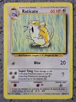 Pokemon - Raticate - 40/102 - Base Set - WOTC - Uncommon - HP - Image 1