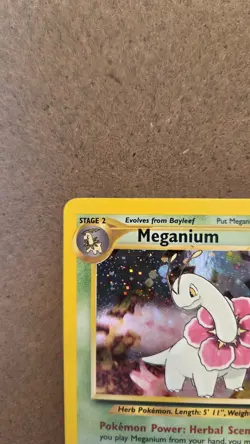 Meganium Neo Genesis 10/111 Rare Holo LP - ungraded Pokemon Card - Image 3