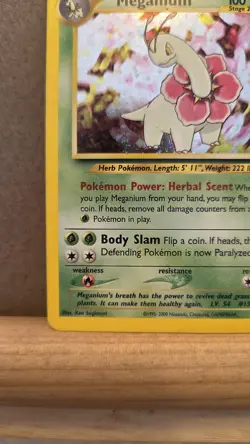 Meganium Neo Genesis 10/111 Rare Holo LP - ungraded Pokemon Card - Image 4