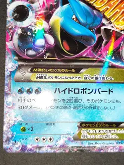 Pokemon Card M Blastoise EX 015/060 RR XY1 Japanese 014/060 lot set eb98 - Image 5