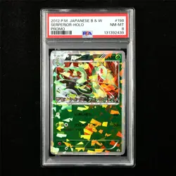 PSA 8 NM-MT 2012 Pokemon JPN Serperior (Holo) 198/BW-P PROMO - Image 1