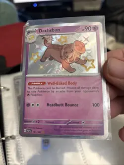 Pokemon Card Dachsbun 161/091 Holo Shiny Rare Paldean Fates NM C122 - Image 1