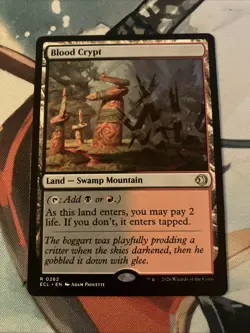 Magic: the Gathering Blood Crypt MTG Lorwyn eclipsed rare NM - Image 1