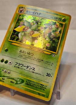 Bellossom No. 182 Holo Rare Japanese Pokemon Pocket Monsters 1203 - Image 3