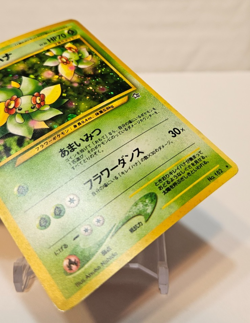 Bellossom No. 182 Holo Rare Japanese Pokemon Pocket Monsters 1203 - Image 5
