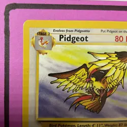 Pokemon TCG Pidgeot #24/64 Jungle Unlimited Non Holo Rare 1999 Vintage - Image 4