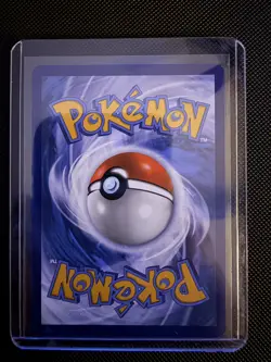 Team Rocket's Wobbuffet 203 Sv: Scarlet & Violet Promo Cards Holo C-01 - Image 2