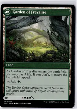 Disciple of Freyalise Modern Horizons 3 Regular NM U 0250 - Image 2