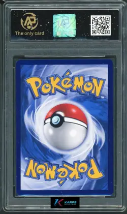Pokemon RPA 10 Jolteon VMAX #009/009 CSHC 2024 Chinese - Image 2