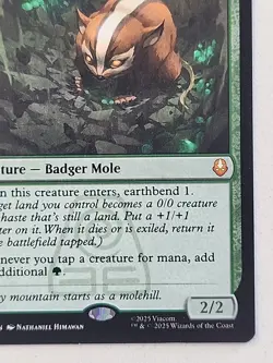 MTG Avatar: The Last Airbender Badgermole Cub NM English Regular - Image 5