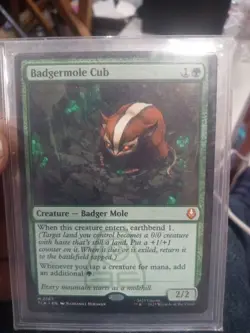 Badgermole Cub Regular MTG Avatar: The Last Airbender 0167 NM 167 - Image 1