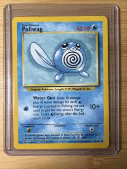 Poliwag (59/102) - Base Set Unlimited - Pokemon TCG - NM - Image 1