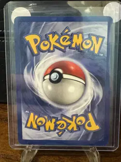 Pokemon TCG Base Set Shadowless Pidgeotto 22/102 Rare LP WOTC - Image 2